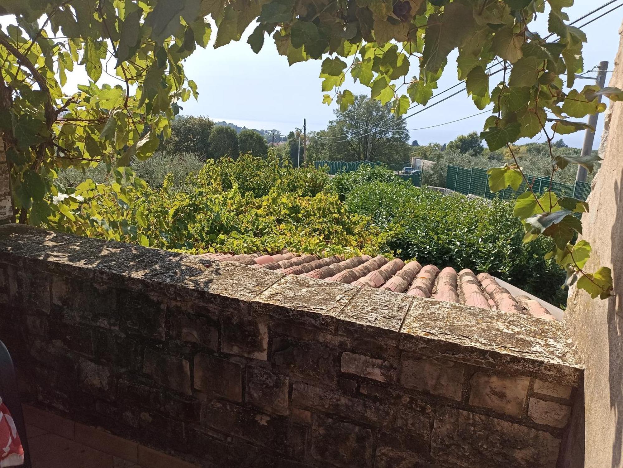 Hedra Apartment Zambratija  Exterior photo